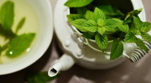 Thé vert et perte de poids
