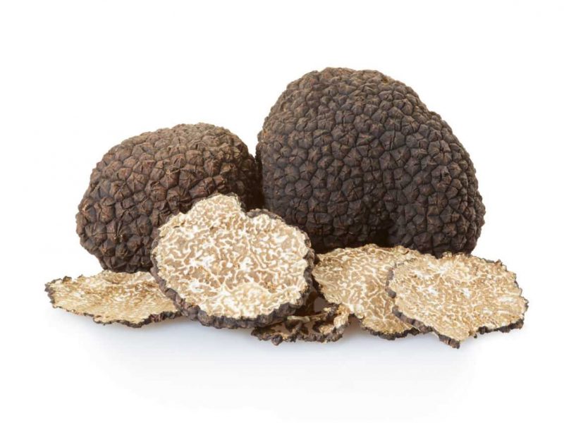 La truffe, or noir du Périgord