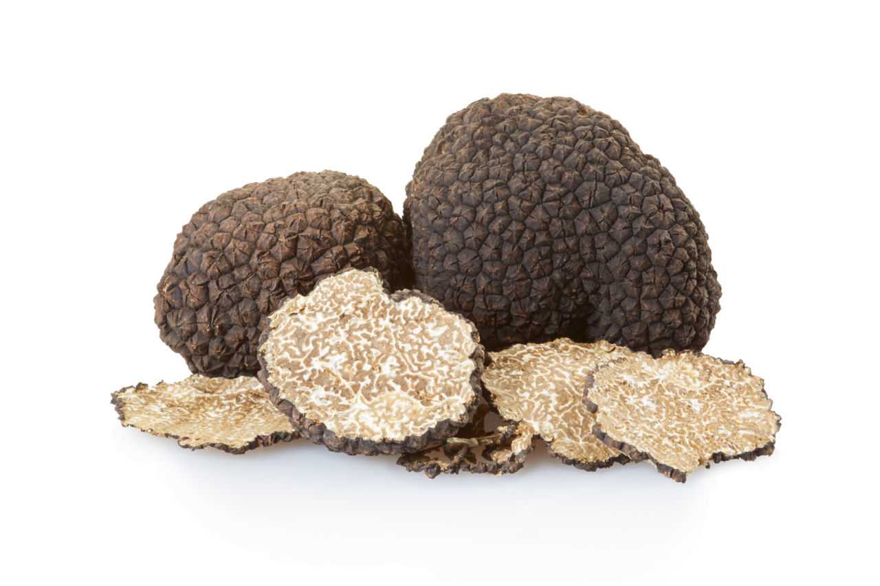 La truffe, or noir du Périgord