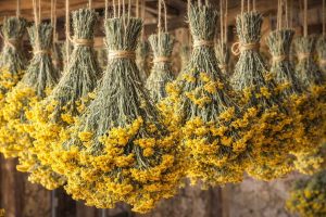 Techniques efficaces pour sécher l'herbe à curry